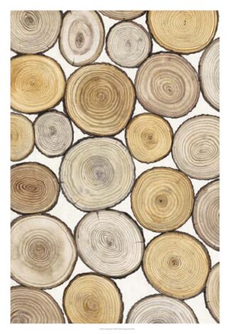 Tree Ring Study I
