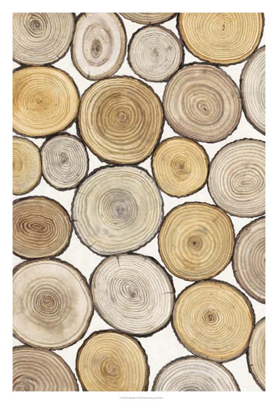 Tree Ring Study I