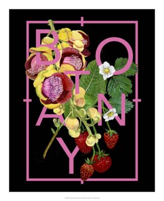 Floral Inspiration II