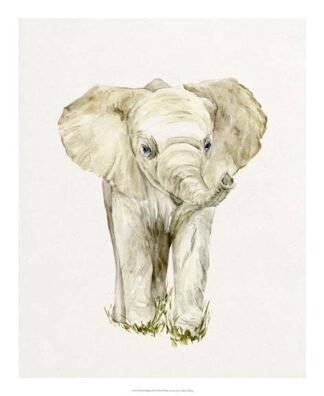 Baby Elephant II