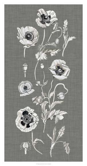 Poppy Array II