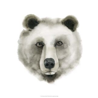 Watercolor Bear