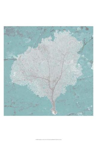 Graphic Sea Fan VII