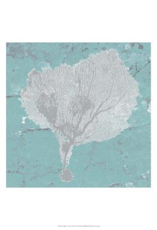 Graphic Sea Fan VIII
