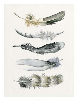 Tribal Feather I