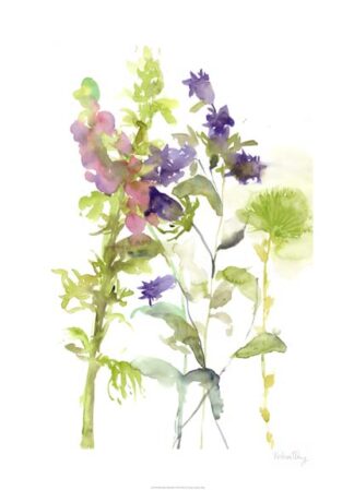 Watercolor Floral Study I