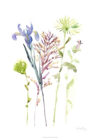 Watercolor Floral Study III