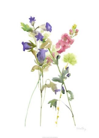 Watercolor Floral Study IV