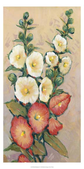 Red Hollyhocks II