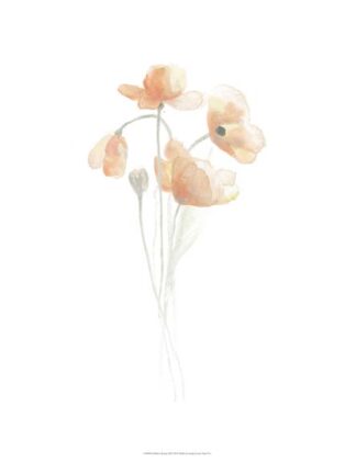 Delicate Bouquet III