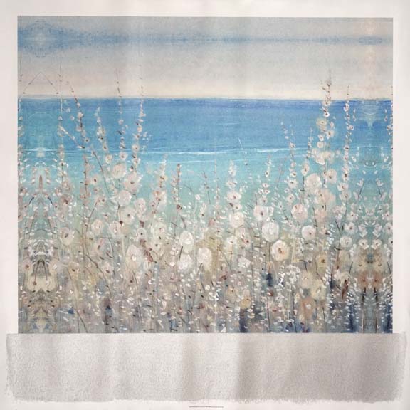 Flowers by the Sea II