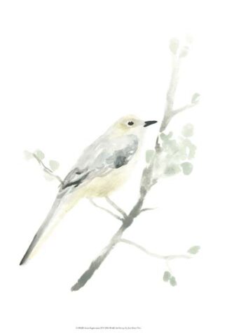 Avian Impressions II