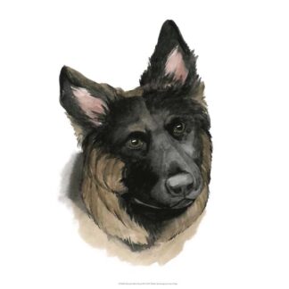 Human's Best Friend II