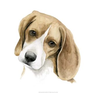 Human's Best Friend III