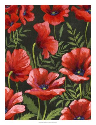 Poppies at Midnight II