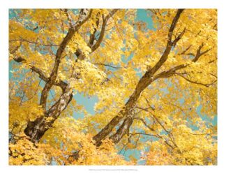 Autumn Tapestry V