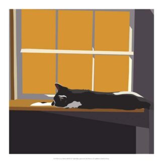 Cat on a Window Sill II