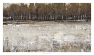 Neutral Reflection I