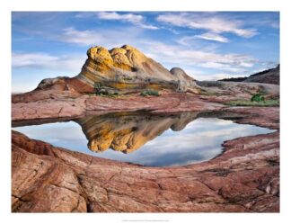 Arizona Reflection II