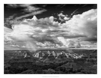 B&W Desert View IV