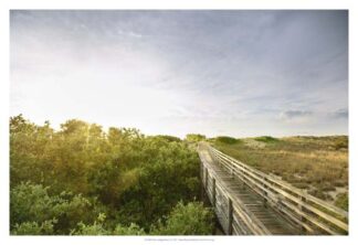 First Landing Dunes II