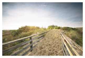 First Landing Dunes III