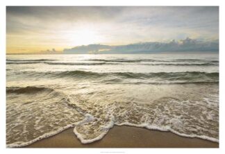 First Landing-Sea II