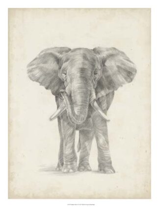 Elephant Sketch II