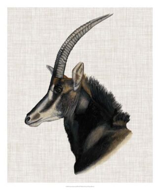 Savanna Impressions III