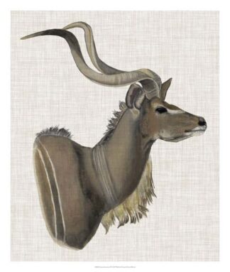 Savanna Impressions IV