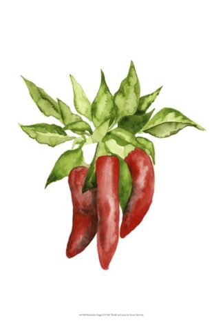 Watercolor Veggie II