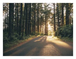 Pacific Northwest Oregon III