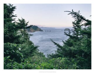 Pacific Northwest Oregon IV