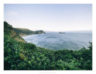 Pacific Northwest Oregon V