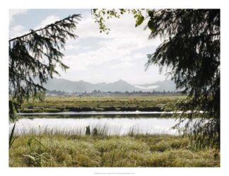 Pacific Northwest Oregon X