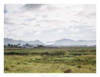 Pacific Northwest Oregon XII