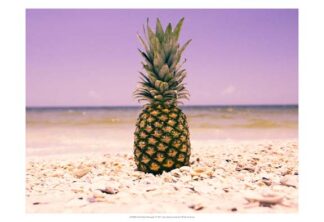 South Florida Pineapple I