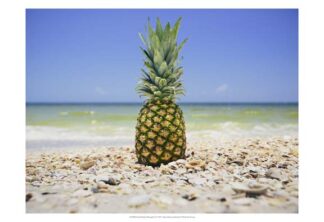 South Florida Pineapple II