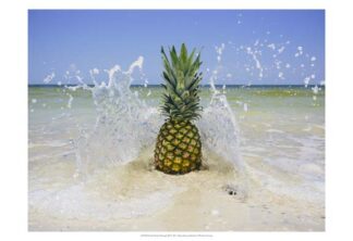 South Florida Pineapple III