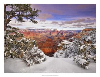 Snowy Grand Canyon II