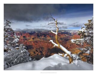 Snowy Grand Canyon III