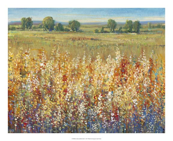 Gold and Red Field I