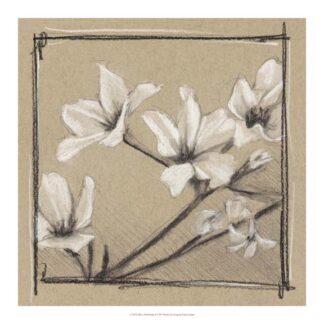White Floral Study I