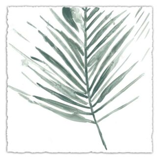 Verdant Impressions II