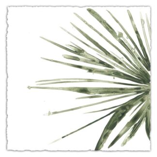 Verdant Impressions IV