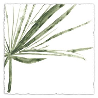 Verdant Impressions VI