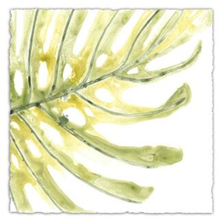 Verdant Impressions IX