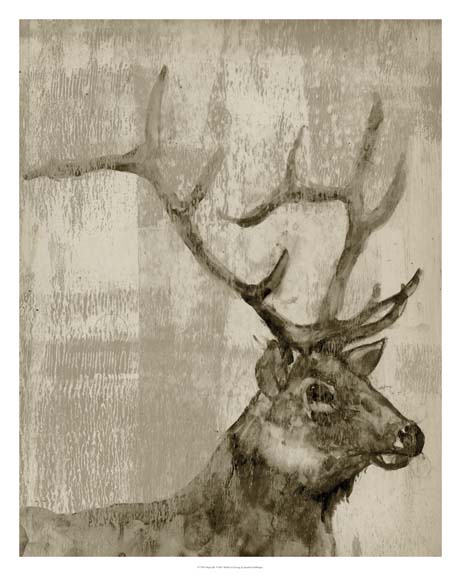 Sepia Elk