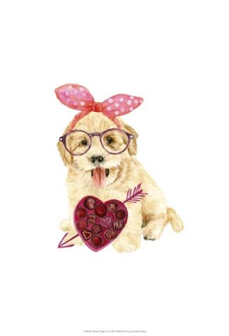Valentine Puppy IV