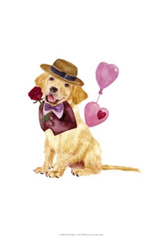 Valentine Puppy V